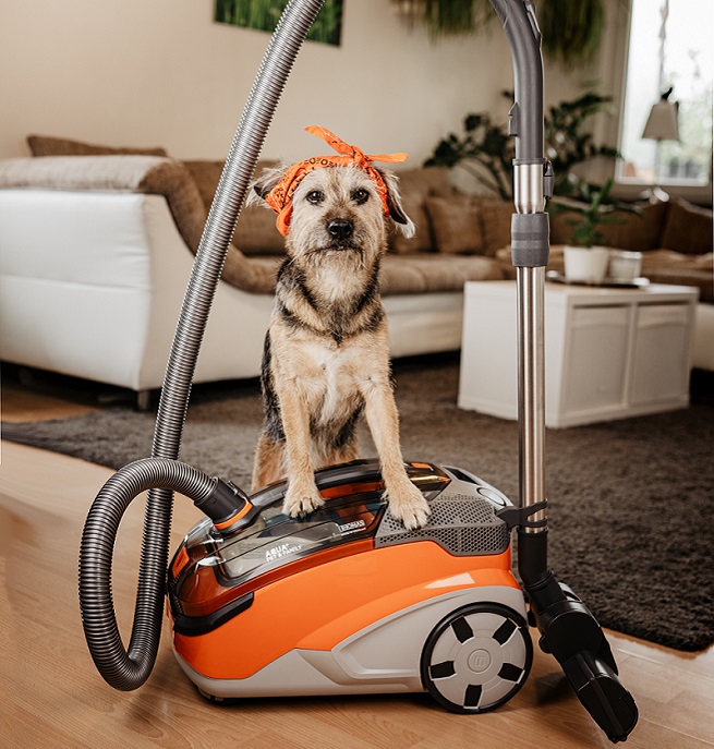 Hund mit Staubsauger